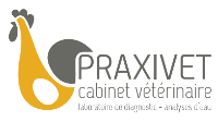 logo praxivet